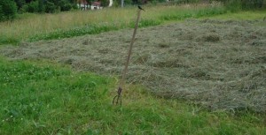 heumitVogel1