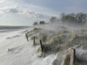 winter-am-meer-812fb3fe-98f2-4962-ab3d-7ca8e4822866