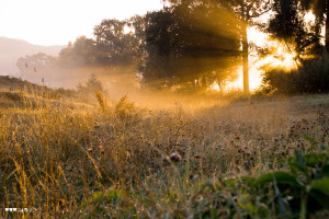 altweibersommer